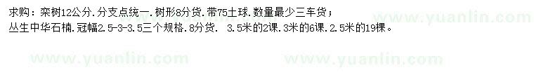 求购12公分栾树、2.5、3、3.5米丛生中华石楠