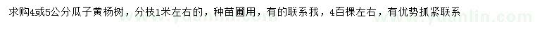 求购4、5公分瓜子黄杨