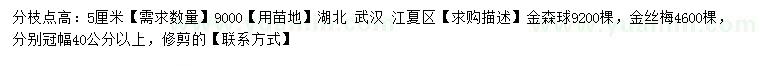 求购冠幅40公分以上金森女贞球、金丝梅