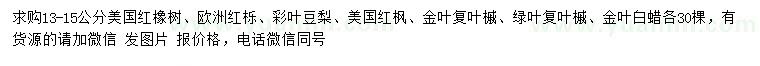 求购美国红橡树、欧洲红栎、彩叶豆梨等