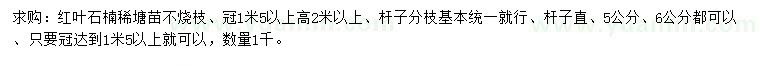 求购6公分以上高杆红叶石楠