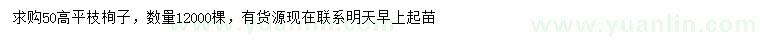 求购高50公分平枝栒子