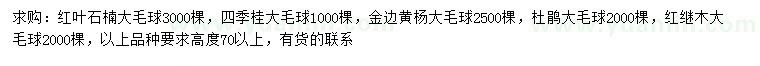 求购红叶石楠、金边黄杨、四季桂