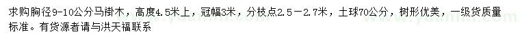 求购胸径9-10公分马褂木