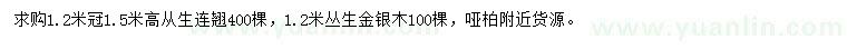 求购冠1.2米从生连翘、丛生金银木