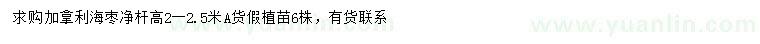 求购高2-2.5米加拿利海枣