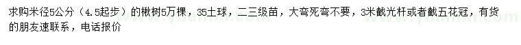 求购米径4.5公分以上楸树