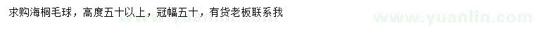 求购冠幅50公分海桐球