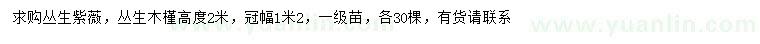 求购高2米丛生紫薇、丛生木槿