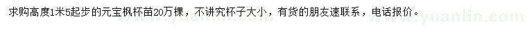 求购高1.5米起步元宝枫