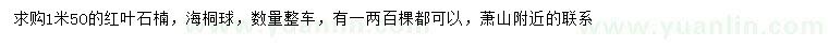 求购1.5米红叶石楠、海桐球