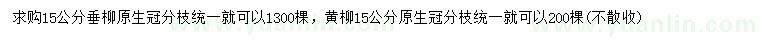 求购15公分垂柳、黄柳