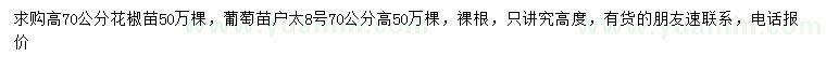 求购高70公分花椒苗、葡萄苗