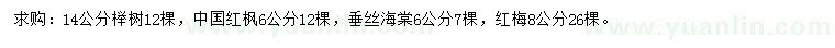 求购榉树、中国红枫、垂丝海棠等