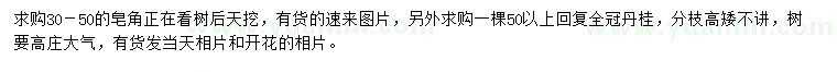 求购30-50公分皂角、50公分以上丹桂