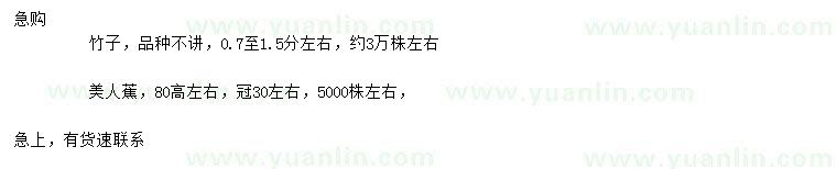 求购0.7-1.5公分左右竹子、高80公分左右美人蕉