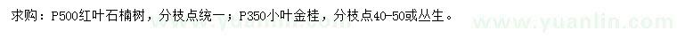 求购冠幅500公分红叶石楠、冠幅350公分小叶金桂