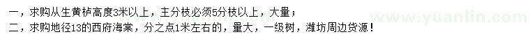 求购高3米以上丛生黄栌、地径13公分西府海棠