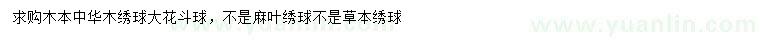 求购木本中华木绣球、大花斗球