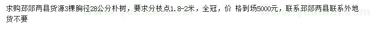 求购胸径28公分朴树