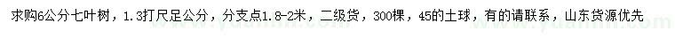 求购1.3米量6公分七叶树