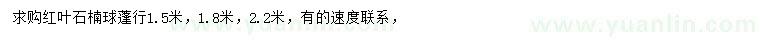 求购冠1.5、1.8、2.2米红叶石楠球