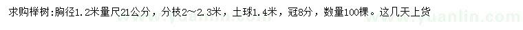 求购1.2米量21公分榉树