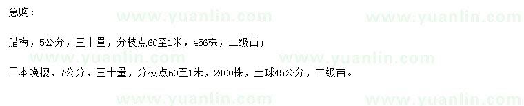 求购30量5公分腊梅、7公分日本晚樱