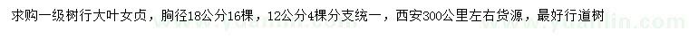 求购胸径12、18公分大叶女贞