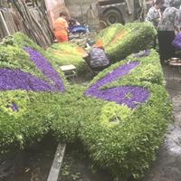 成都仿真植物墙 仿真植物墙体工艺品 墙体假草坪造型