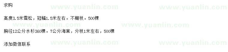 求购高3.5米雪松、胸径12公分水杉
