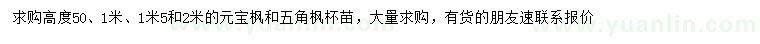 求购高0.5、1、1.5、2米元宝枫、五角枫