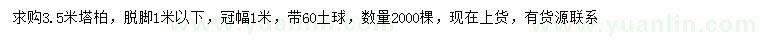 求购3.5米塔柏