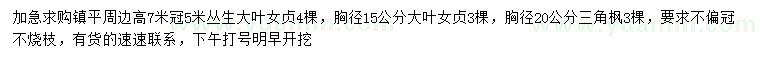 求购丛生大叶女贞、大叶女贞、三角枫