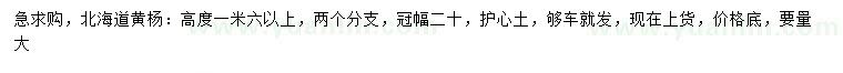 求购高1.6米以上北海道黄杨