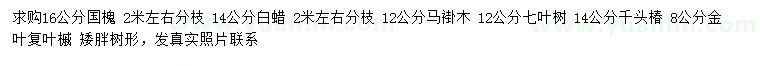 求购国槐、白蜡、马褂木等