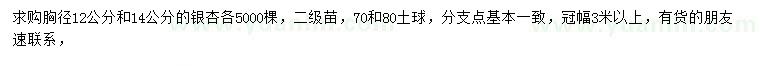 求购胸径12、14公分银杏