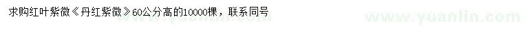 求购高60公分红叶紫薇、丹红紫薇