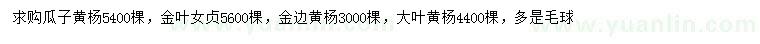 求购瓜子黄杨、金叶女贞、金边黄杨等