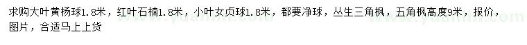 求购大叶黄杨球、红叶石楠、小叶女贞球等