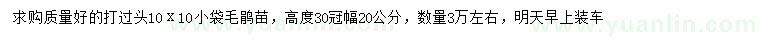 求购高30公分毛鹃