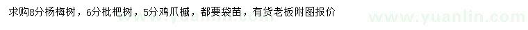 求购杨梅树、枇杷树、鸡爪槭