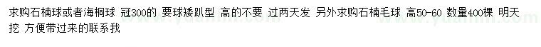 求购石楠球、海桐球、石楠球