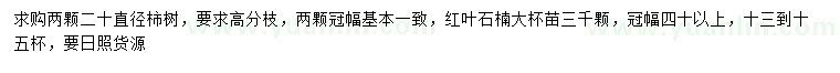 求购20公分柿树、冠幅40公分以上红叶石楠