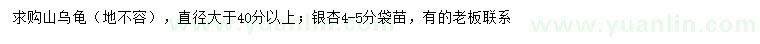 求购40公分以上山乌龟、4-5公分银杏