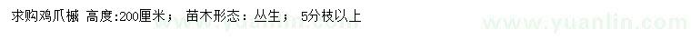 求购高度200公分鸡爪槭 