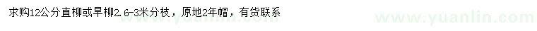 求购12公分直柳、旱柳