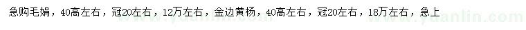 求购高40公分左右毛鹃、金边黄杨