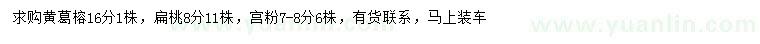 求购黄葛榕、扁桃、宫粉紫荆