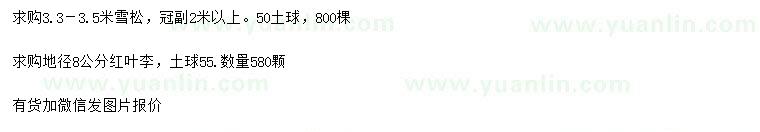 求购3.3-3.5米雪松、地径8公分红叶李